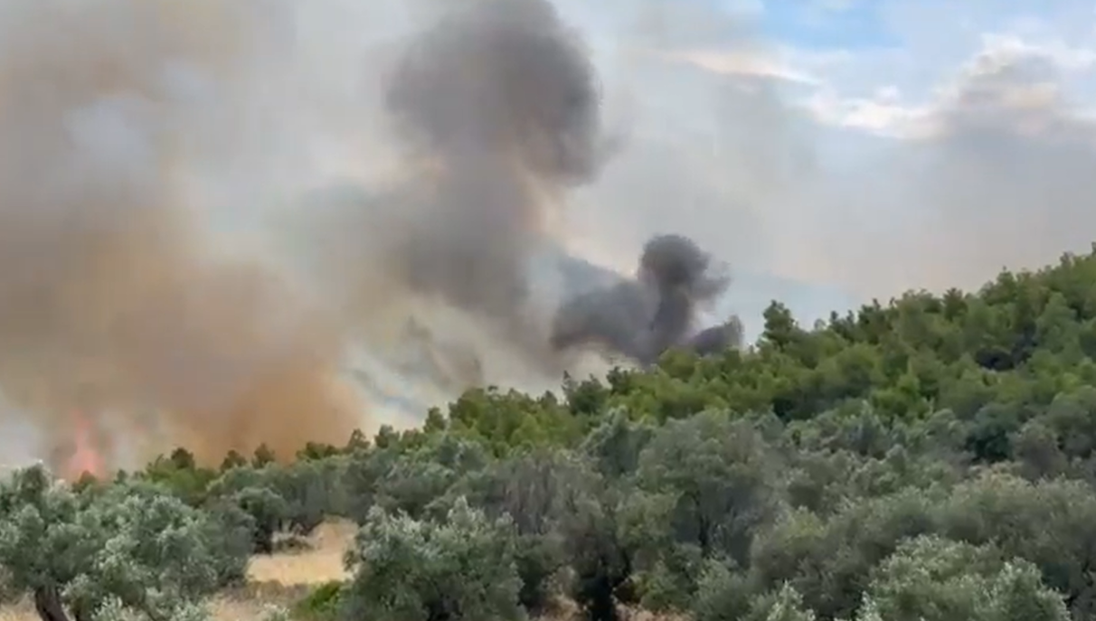 Φωτιά στον Σχίνο Κορινθίας