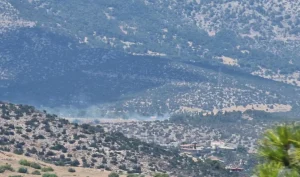 Φωτιά στο Κορωπί σε χαμηλή βλάστηση