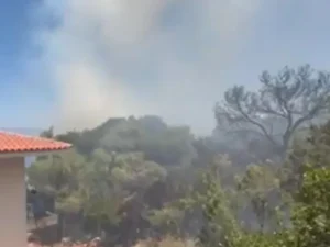 Κορινθία: Πρώην υποψήφια βουλευτής η 57χρονη που κατηγορείται για τη φωτιά στα Ίσθμια