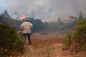 Φωτιές 2023: Οι όροι για την τελική καταβολή...
