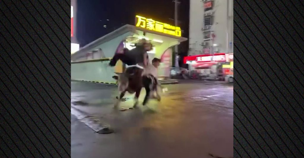 Κίνα: Ταύρος δραπέτευσε από σφαγείο και επιτέθηκε σε περαστικούς