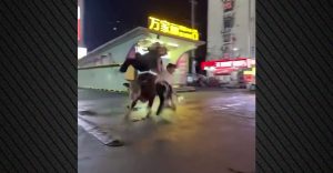 Κίνα: Ταύρος δραπέτευσε από σφαγείο και επιτέθηκε σε...