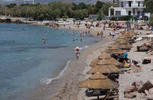 ΧΑΡΤΗΣ: Πού εμφανίζονται λαγοκέφαλοι, καρχαρίες και μωβ μέδουσες