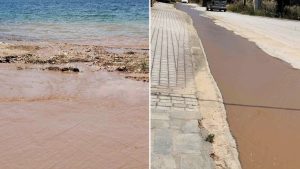 Νικήτη Χαλκιδικής: Κλειστή η παραλία μετά από διαρροή...