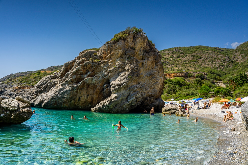 ΦΟΝΕΑΣ\-ΚΑΡΔΑΜΥΛΗ\-1