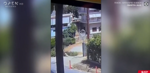 Κτηνωδία στο Άστρος Κυνουρίας: Πέταξαν νεκρό σκύλο με σύρμα στον λαιμό σε κάδο σκουπιδιών