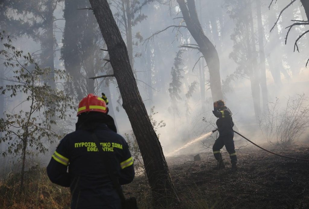 Πυροσβέστης μεταξύ των τριών συλληφθέντων για τους εμπρησμούς στους Γαργαλιάνους