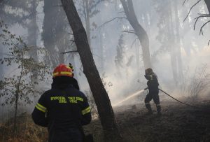 Γαργαλιάνοι: Πυροσβέστης μεταξύ των τριών συλληφθέντων για τους εμπρησμούς