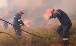 Φωτιά στις Σέρρες: Μήνυμα του 112 για εκκένωση της Οινούσσας