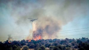 Φωτιά τώρα στη Βοιωτία: Μήνυμα 112 για εκκένωση της Ξηρονομής