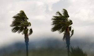 Επιμένει το ισχυρό μελτέμι: Έως 8 μποφόρ στο Αιγαίο και 37άρια στα δυτικά (02/08)