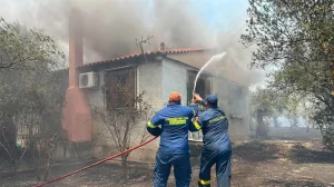 Πύρινα μέτωπα σε Βοιωτία, Αττική, Αργολίδα, Άρτα και Ρέθυμνο