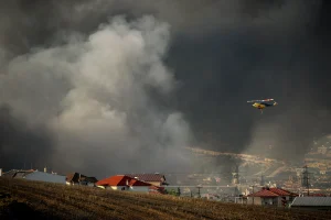 WWF: Περισσότερα από 180.000 στρέμματα καμένων δασικών εκτάσεων σε λίγες μόλις μέρες