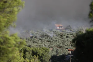 Βοιωτία: Μήνυμα του 112 για εκκένωση της Λιβαδόστρας