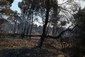 Meteo.gr: Πάνω από 480.000 καμένα στρέμματα στη Δυτική Αττική σε εννέα χρόνια