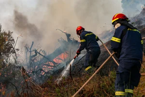 Πυρόπληκτοι Χαλκιδικής: Παράταση προσωρινής διαμονής έως 19 Αυγούστου
