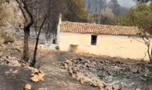 Δυτική Αττική: «Θαύμα» μέσα στις στάχτες – Το εκκλησάκι που δεν άγγιξε η φωτιά- Βίντεο