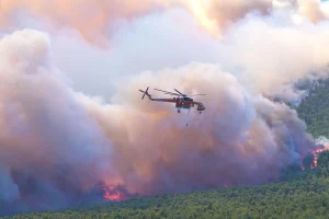 Φωτιά σε Βοιωτία και Αττική: Σε εξέλιξη η μάχη με τις φλόγες – Επιχειρούν 496 πυροσβέστες