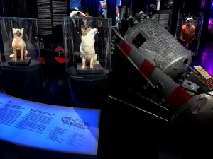 Σπούτνικ 5: Η αποστολή που άνοιξε τον δρόμο για τον άνθρωπο στο Διάστημα