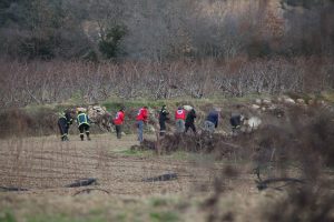 Άρειος Πάγος: Παραμένουν τα ισόβια για τη δολοφονία της Ανθής Λινάρδου στο Βελβεντό