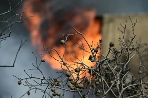 Πυρκαγιές: 4 συλλήψεις για τις φωτιές σε Αττική, Ζάκυνθο και Λέσβο