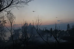 Φωτιά στη Χαλκιδική: Έχει πέσει η ένταση της πυρκαγιάς