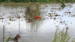 ΕΛΓΑ: Μέχρι τις 19 Οκτωβρίου οι δηλώσεις ζημιάς στο Οροπέδιο Λασιθίου